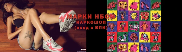 индика Армянск